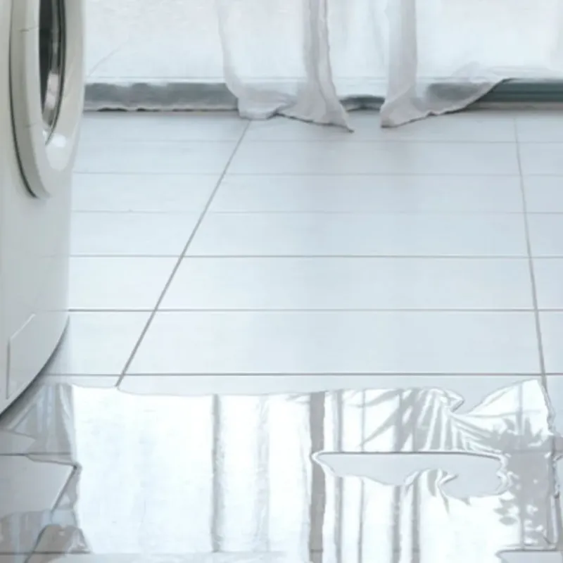 Appliance Leak Cleanup in Lake Forest, FL