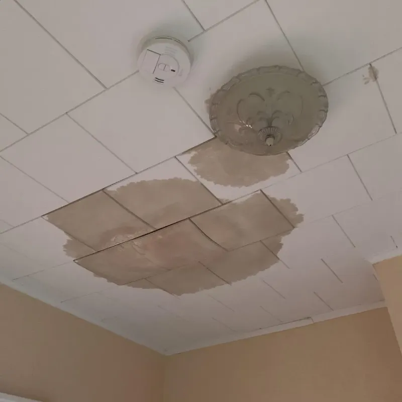 Ceiling Water Damage Repair in Lake Forest, FL